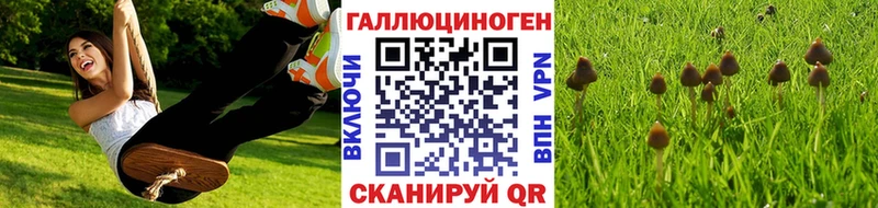 Псилоцибиновые грибы мицелий Артёмовск